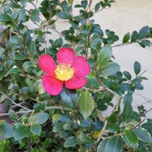 Meet your Posher, Jen